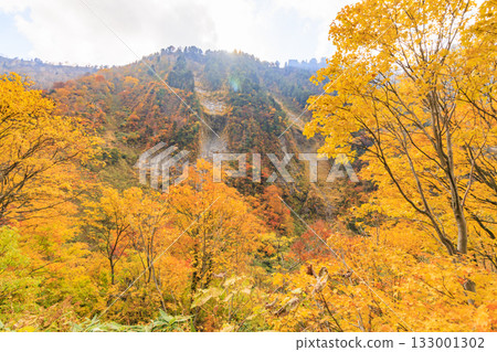 Shomyo Falls at its best when the autumn leaves are in full bloom 133001302