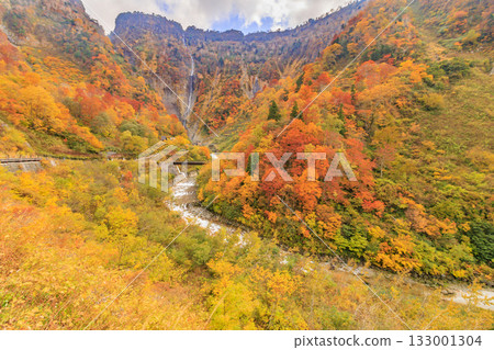 秋葉繁茂之時，聖名瀑佈景色最迷人。 133001304