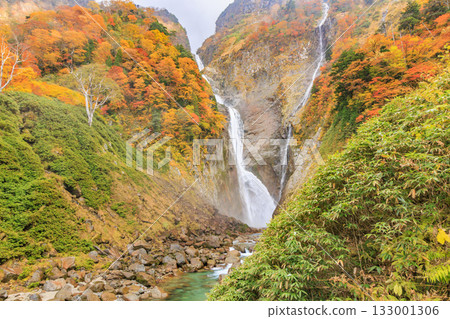 Shomyo Falls at its best when the autumn leaves are in full bloom 133001306