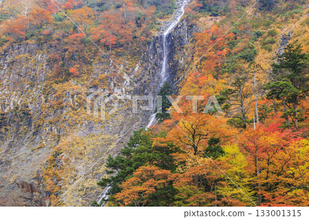 Shomyo Falls at its best when the autumn leaves are in full bloom Shomyo Falls at its best when the autumn leaves are in full bloom 133001315