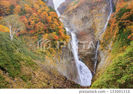 Shomyo Falls at its best when the autumn leaves are in full bloom 133001318