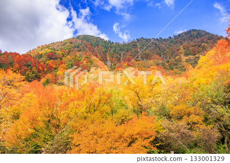 Shomyo Falls at its best when the autumn leaves are in full bloom 133001329