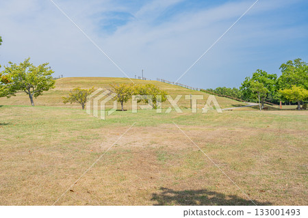 濱松市（靜岡縣）遠州灘海濱公園的景色 133001493