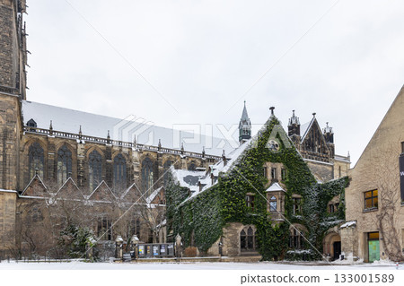 Winter view of Magdeburg Cathedral Dom ivy-covered building and gothic windows dusted with snow. Historic architecture contrasts with green foliage creating peaceful urban atmosphere under gray sky Winter view of Magdeburg Cathedral Dom ivy-covered building and gothic windows dusted with snow. Historic architecture contrasts with green foliage creating peaceful urban atmosphere under gray sky 133001589