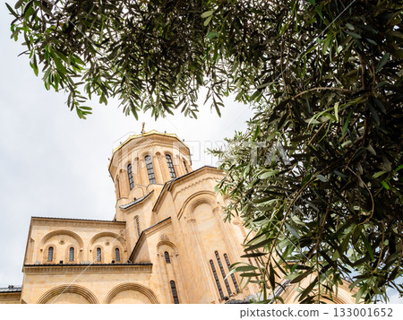 green tree and Sameba Cathedral in Tbilisi city green tree and Sameba Cathedral in Tbilisi city 133001652