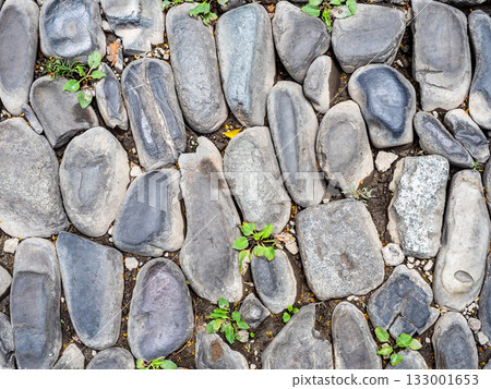 cobblestones on road in old district of Tbilisi cobblestones on road in old district of Tbilisi 133001653