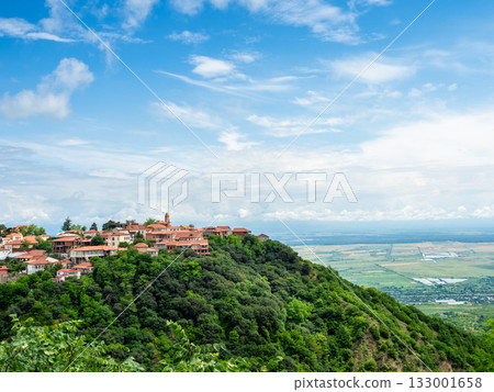 Sighnaghi town on top of mount and Alazani valley Sighnaghi town on top of mount and Alazani valley 133001658