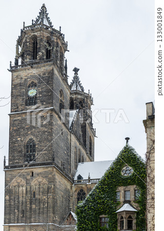 Winter view of Magdeburg Cathedral Dom ivy-covered building and gothic windows dusted with snow. Historic architecture contrasts with green foliage creating peaceful urban atmosphere under gray sky Winter view of Magdeburg Cathedral Dom ivy-covered building and gothic windows dusted with snow. Historic architecture contrasts with green foliage creating peaceful urban atmosphere under gray sky 133001849