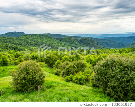 green mount top at Gombori Mountain pass, Georgia green mount top at Gombori Mountain pass, Georgia 133001937