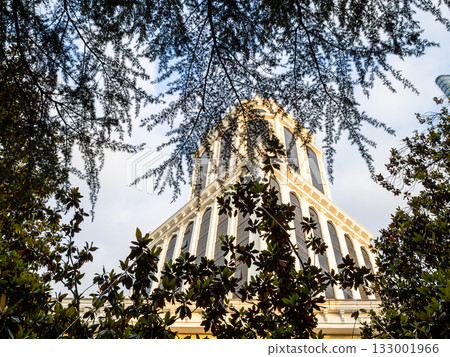 twigs of trees from Batumi boulevard and tower 133001966