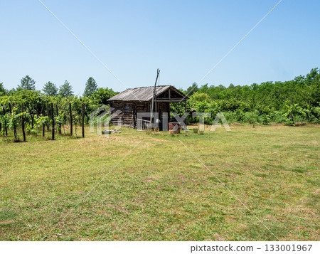 old wooden house in georgian village in summer 133001967