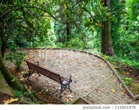 bench on observation deck, Batumi Botanical Garden bench on observation deck, Batumi Botanical Garden 133001976