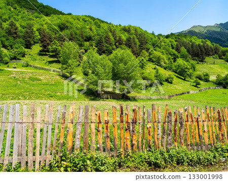 green gardens on mountain slope in Svaneti village 133001998