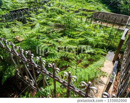 old overgrown grave in mountain cemetery, Georgia 133002000