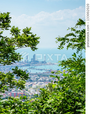 above view of port and Batumi city from Sameba 133002020
