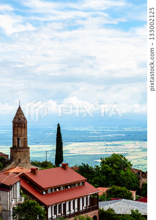 above view of Alazani valley from Signagi town above view of Alazani valley from Signagi town 133002125