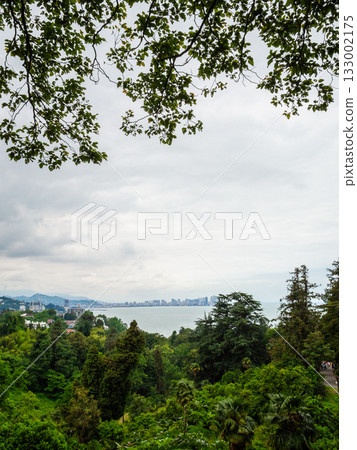 view of Batumi town from Batumi Botanical Garden 133002175