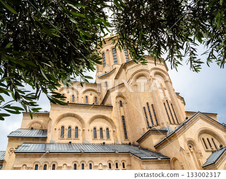 green leaves and Sameba Cathedral in Tbilisi city green leaves and Sameba Cathedral in Tbilisi city 133002317