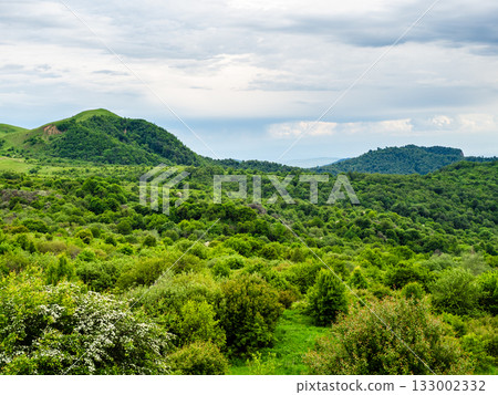 overgrown meadow at Gombori Mountain pass, Kakheti overgrown meadow at Gombori Mountain pass, Kakheti 133002332