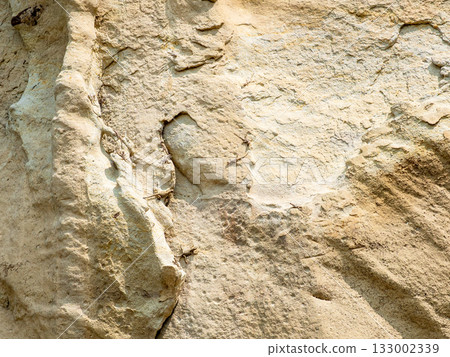 lizards on surface of sandstone wall, Uplistsikhe 133002339