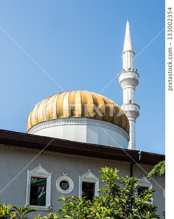 Orta Jame Mosque cupola and minarer, Batumi city 133002354