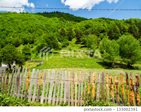 green orchards on mountain slope in Svaneti 133002391