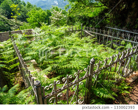 old abandoned grave in Erge mountain cemetery old abandoned grave in Erge mountain cemetery 133002393