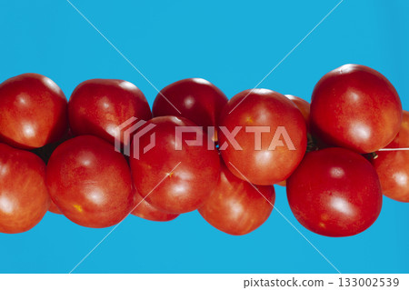 horizontal line of Spanish tomatoes horizontal line of Spanish tomatoes 133002539