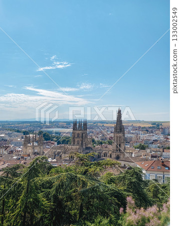 the cathedral of Burgos, Spain, seen from above the cathedral of Burgos, Spain, seen from above 133002549
