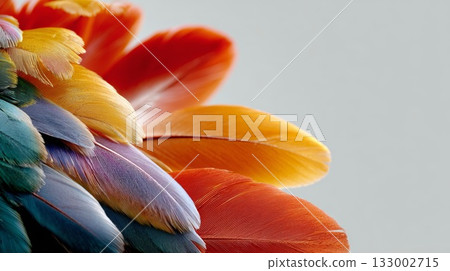 Vibrant feathers in a spectrum of colors showcasing intricate textures and natural beauty 133002715