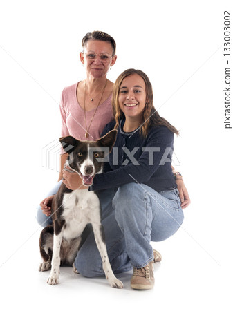 border collie and owners in studio 133003002