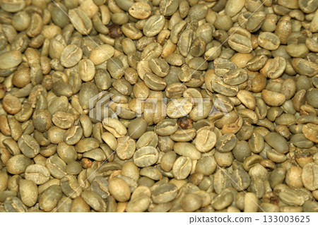 not toasted seeds Coffee plantation detail close up 133003625