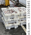 Freshly Caught Fish in Plastic Crates at a Harbor 133003845
