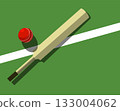 Cricket bat and ball lies on cricket court, view from above, sport poster, vector 133004062