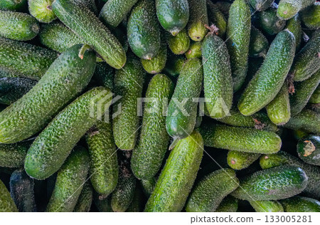 Close-up of fresh cucumbers on a market stall. Vibrant green color, perfect for food, healthy eating, organic farming, and autumn harvest concepts. Close-up of fresh cucumbers on a market stall. Vibrant green color, perfect for food, healthy eating, organic farming, and autumn harvest concepts. 133005281