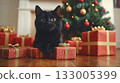 Black cat with Christmas gifts and decorated tree indoors 133005399