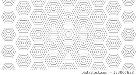 Concentric Hexagonal Pattern, Line Hexagon Geometric Background, Outline Honeycomb Texture BG. Linear Hex Backdrop Wallpaper. White Minimalistic Abstract Backgrounds. Vector Illustration 133005658