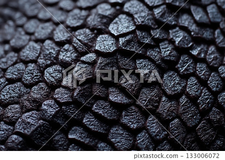 Dragon skin close up 133006072