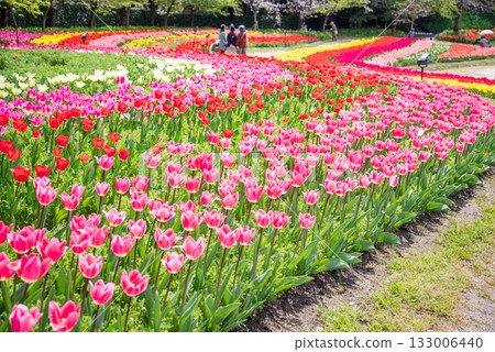 鬱金香花田（三重縣名花村） 133006440