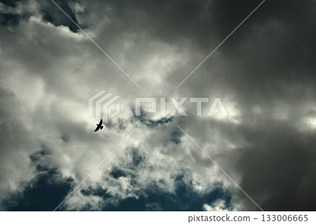 Dramatic cloudy sky with soft light tones Dramatic cloudy sky with soft light tones 133006665