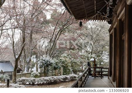 冬天的柳谷觀音和橫國寺（京都府長岡京市） 133006920