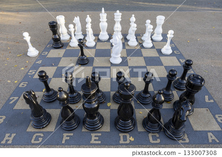 Large chess pieces on an outdoor chessboard for playing chess Large chess pieces on an outdoor chessboard for playing chess 133007308
