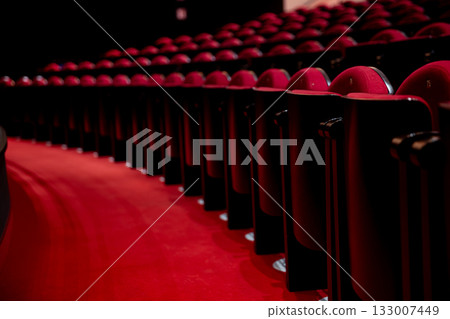 An Elegant and Stylish Red Theater Seating Arrangement for a Memorable Experience 133007449