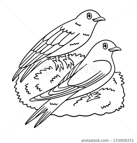 Swiftlet Bird Isolated Coloring Page for Kids Swiftlet Bird Isolated Coloring Page for Kids 133008351