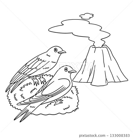 Swiftlet Watching Volcano Isolated Coloring Page Swiftlet Watching Volcano Isolated Coloring Page 133008383
