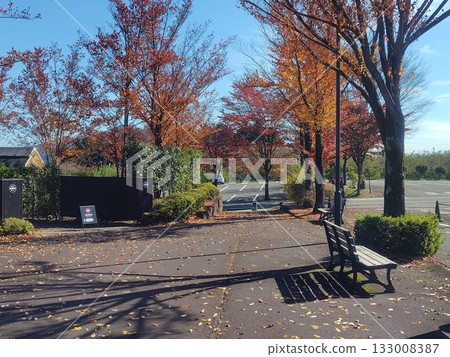 Autumn at Nakanojo Gardens, Nakanojo Town, Gunma Prefecture 133008387