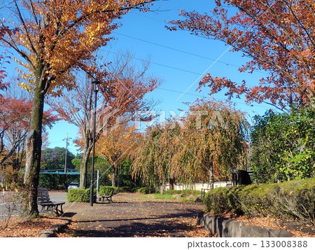 Autumn at Nakanojo Gardens, Nakanojo Town, Gunma Prefecture 133008388