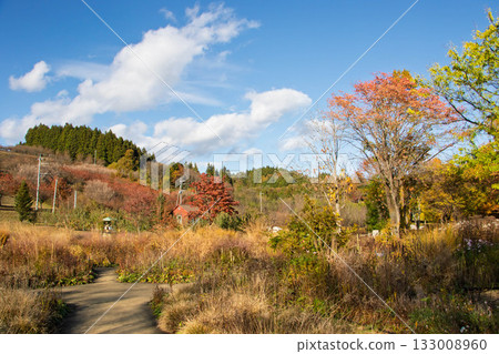 Autumn at Nakanojo Gardens, Nakanojo Town, Gunma Prefecture 133008960