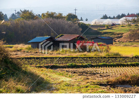 Around Nakanojo Gardens in autumn, Nakanojo Town, Gunma Prefecture Around Nakanojo Gardens in autumn, Nakanojo Town, Gunma Prefecture 133009227