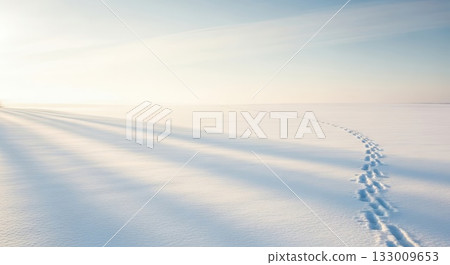 寂靜的雪地上，迴盪著輕柔的腳印。 133009653
